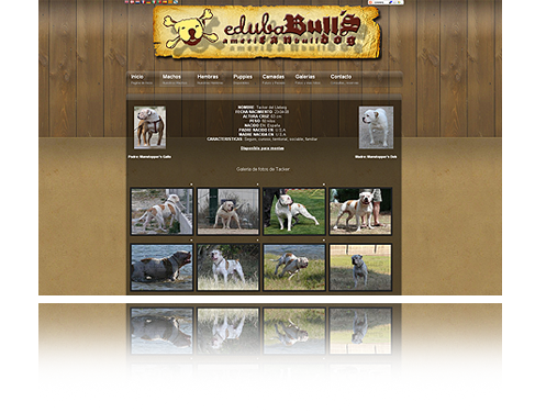 Edubabulls
